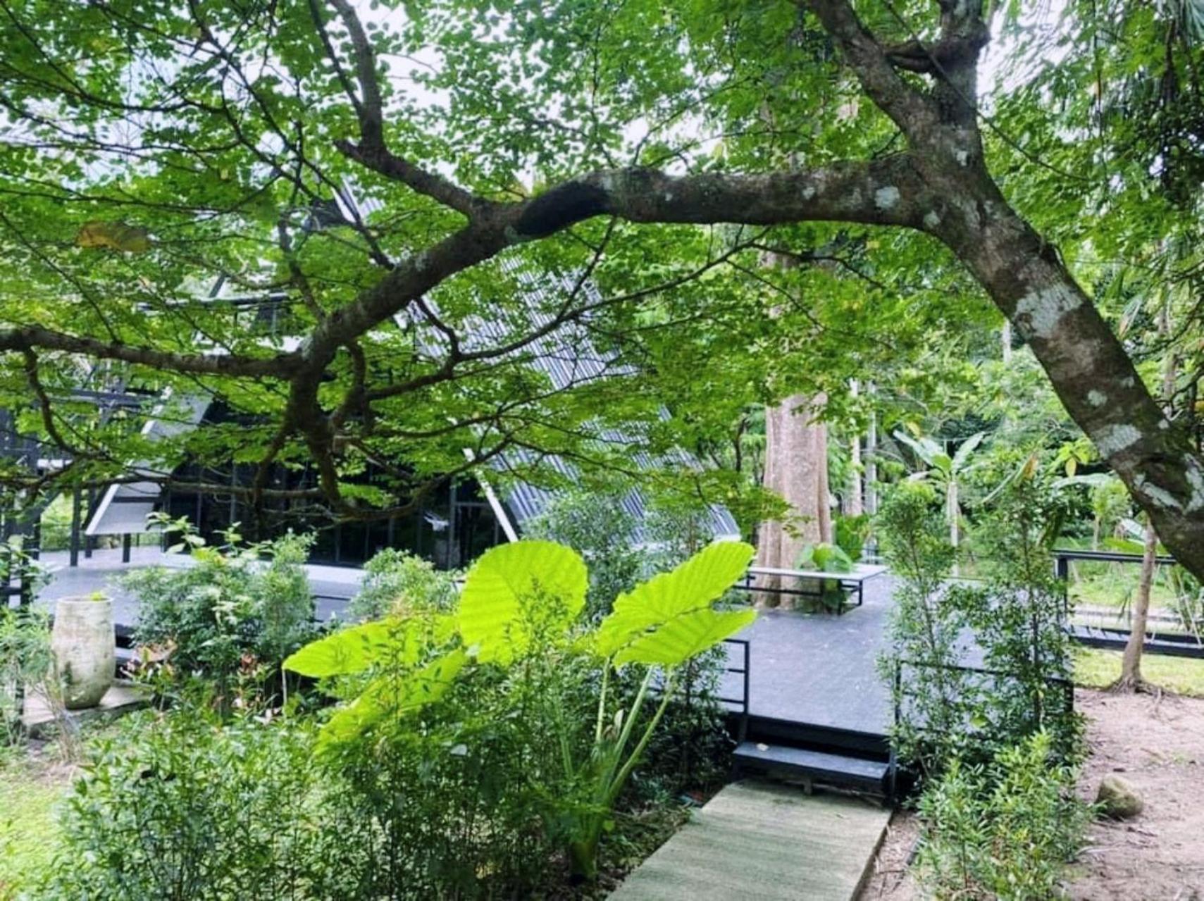 Bed and Breakfast The Creek Haus à Lan Saka Extérieur photo